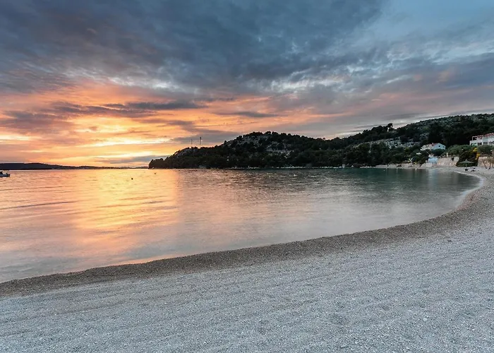 Marionella שיבניק